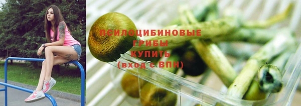 бошки Горнозаводск