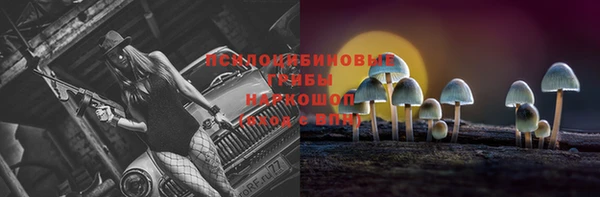 стафф Горно-Алтайск