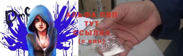 стафф Горно-Алтайск