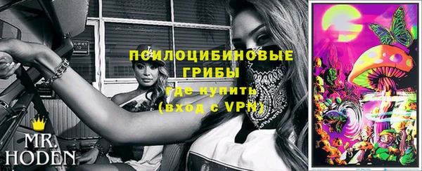 бошки Горнозаводск