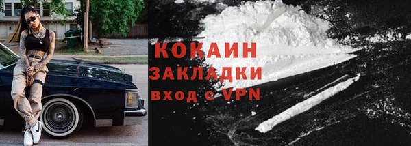 сатива Горняк
