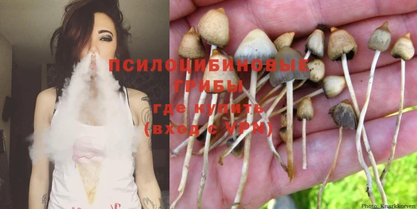 бошки Горнозаводск