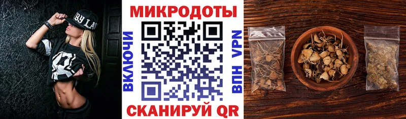 Галлюциногенные грибы GOLDEN TEACHER  продажа наркотиков  Чкаловск 
